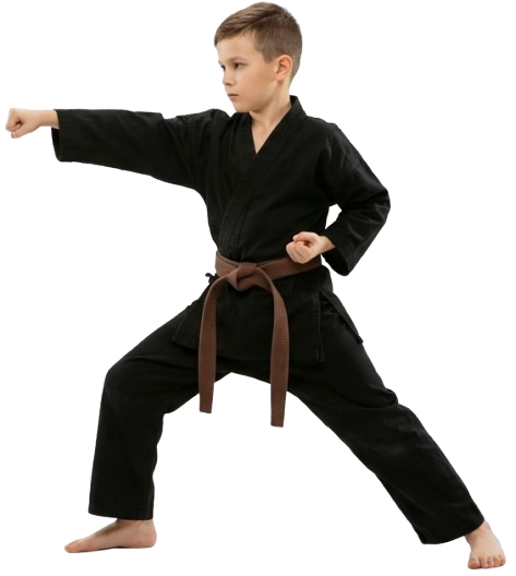 Karate kid hero